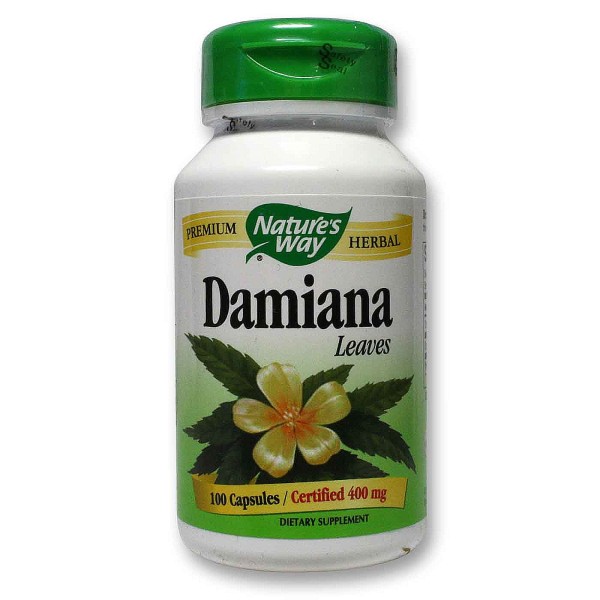 damiana-los-beneficios-y-propiedades-de-esta-planta-Ventajas-de-la-damiana-600x600
