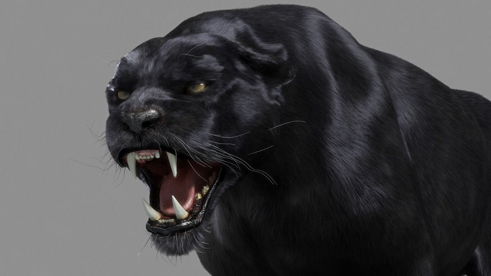 panther-black-3d-model-animated-rigged-max-tga